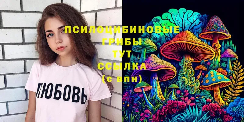 Псилоцибиновые грибы Cubensis  kraken как войти  Нариманов 